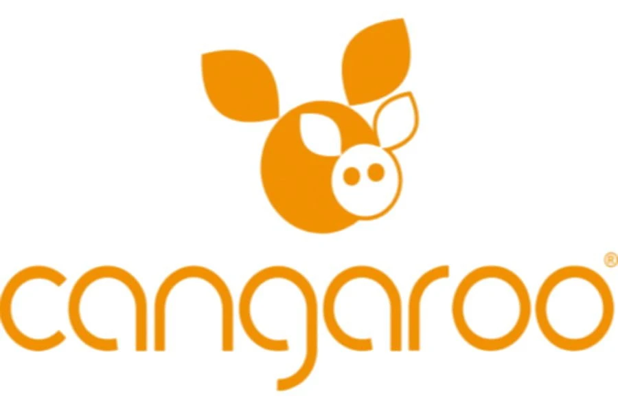 Cangaroo Polly Grey 3-in-1 Combi Kinderwagen Incl. Autostoel 16 Cangaroo Polly Grey 3-in-1 Combi Kinderwagen Incl. Autostoel - Afbeelding 16