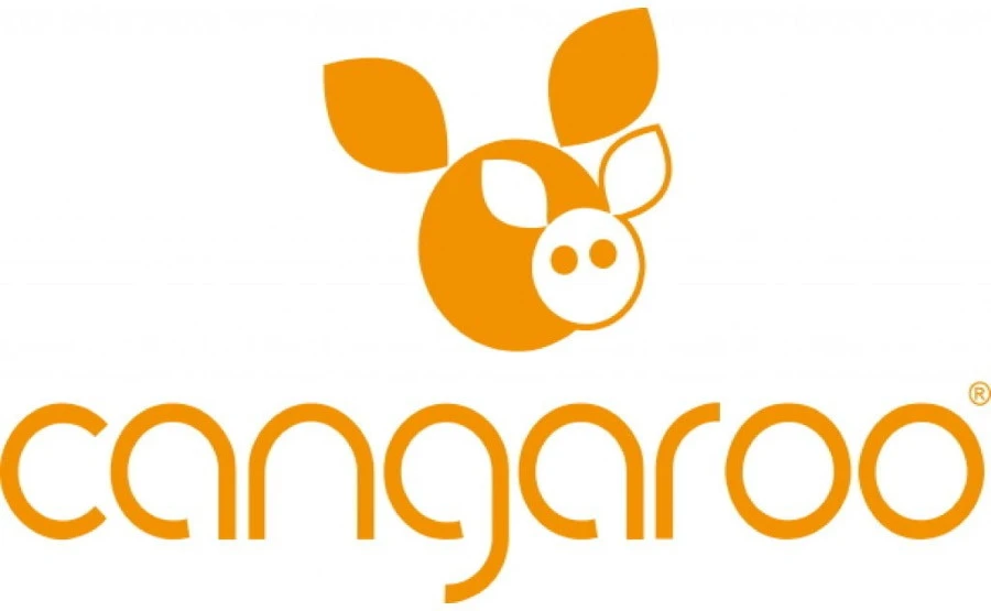 Cangaroo Explorer Grey Ergonomische Draagzak 7094 2 Cangaroo Explorer Grey Ergonomische Draagzak 7094 - Afbeelding 2