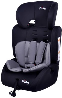 Ding Bas Grijs Autostoel 9-36 Kg CS003
