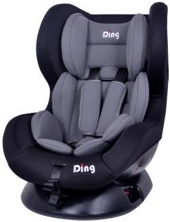 Ding Dano Zwart/Grijs Autostoel 0-18 Kg CS002