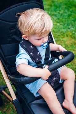 Momi Estelle Dakar Blowball Wandelwagen WOSP00023 -KinderReisWereldNederland momi estelle dakar ginko wandelwagen wosp00020 13 1